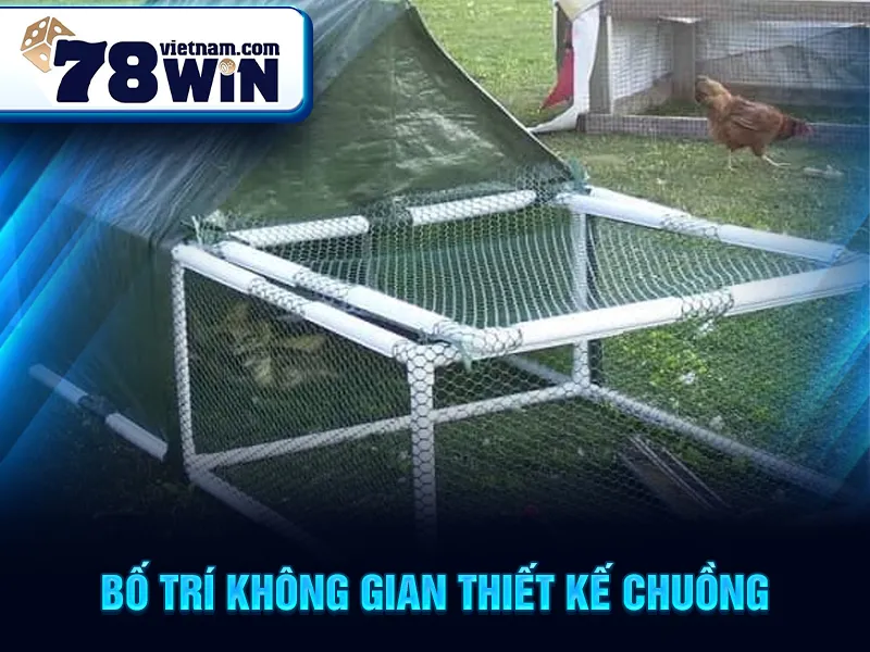 Cách Làm Chuồng Chạy Cho Gà Đá - Bố trí không gian thiết kế chuồng